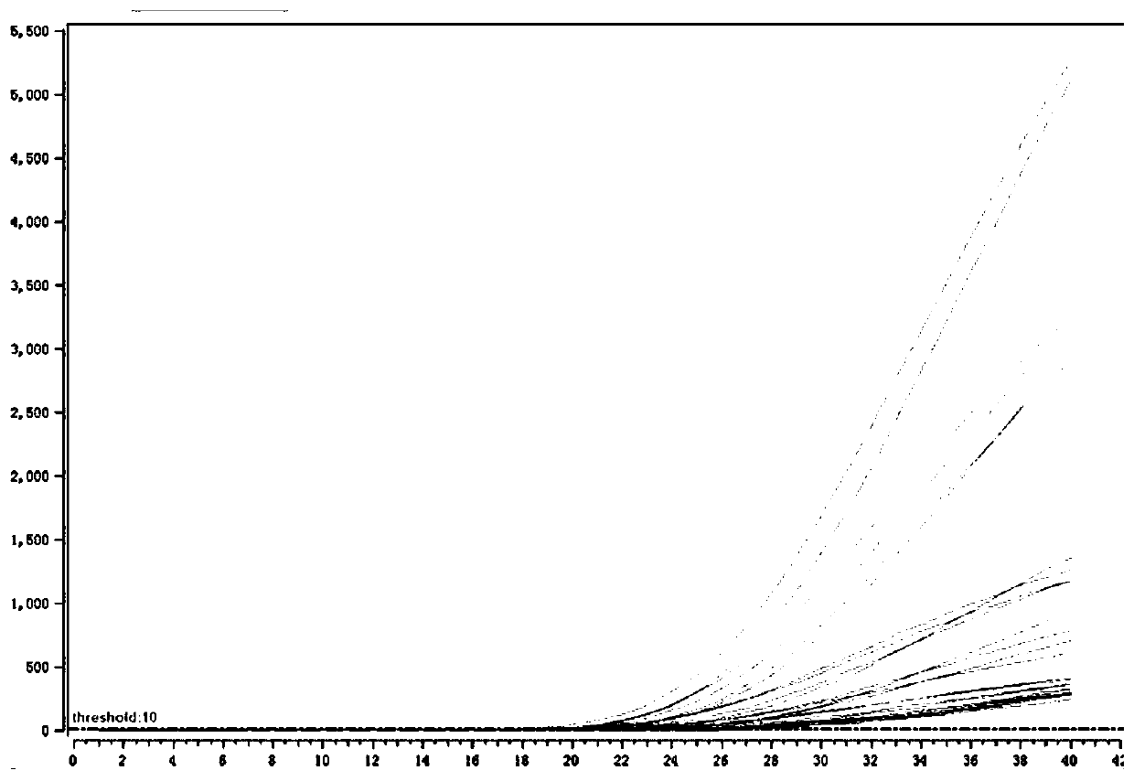 Primer and probe combination and kit for multiplex real-time fluorescence PCR detection of beta-thalassemia gene mutation