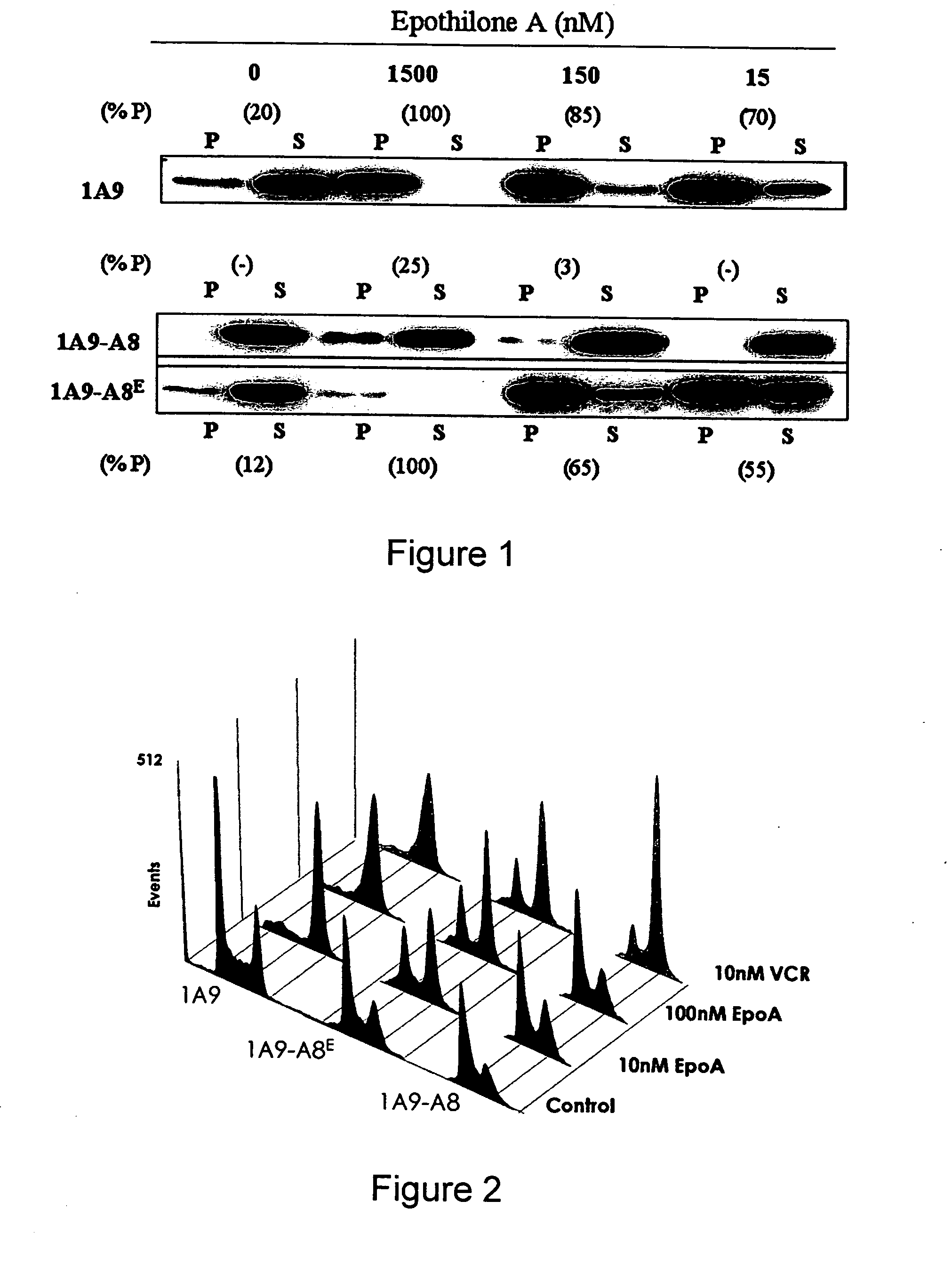 Methods of screening for resistance to microtuble-targeting drugs