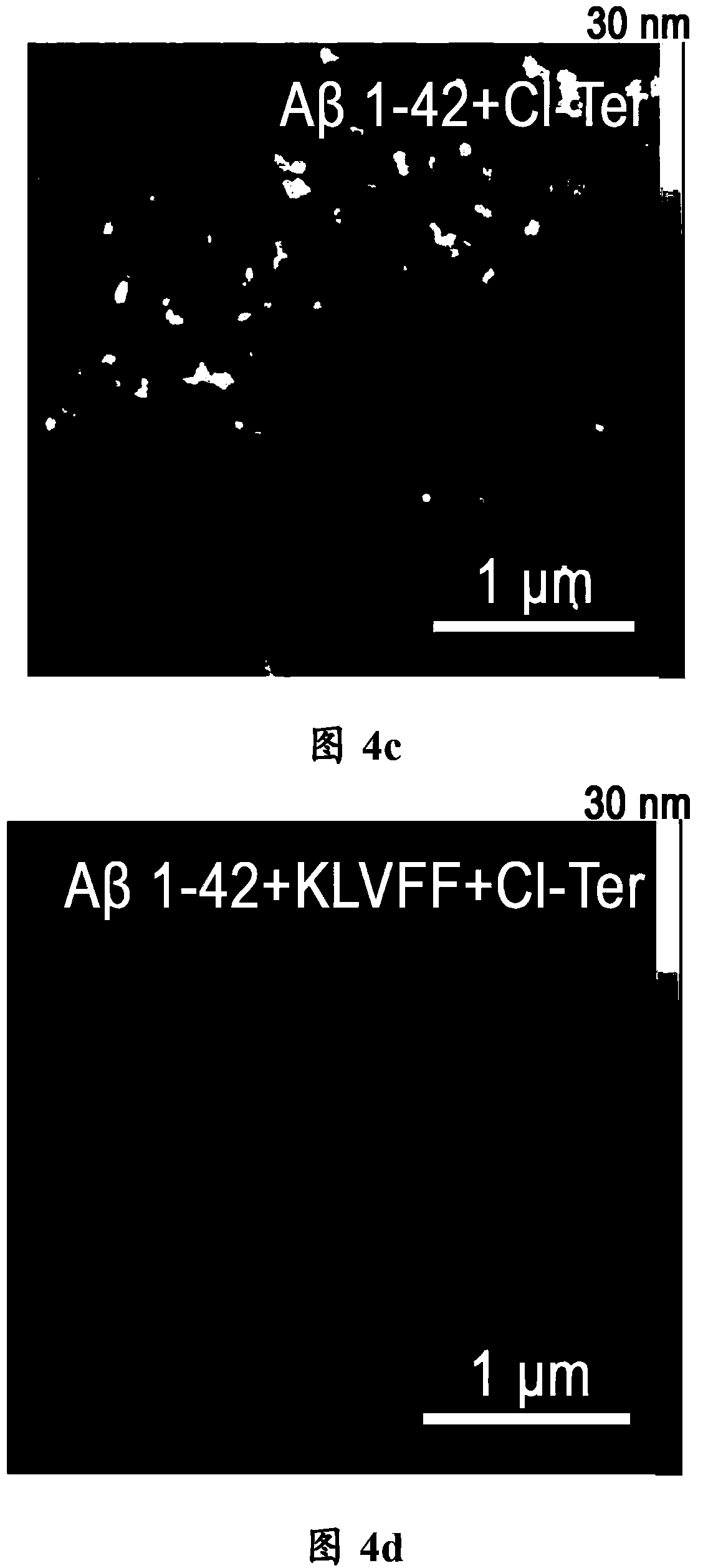 compound-for-inhibiting-aggregation-of-amyloid-polypeptide-as-well-as