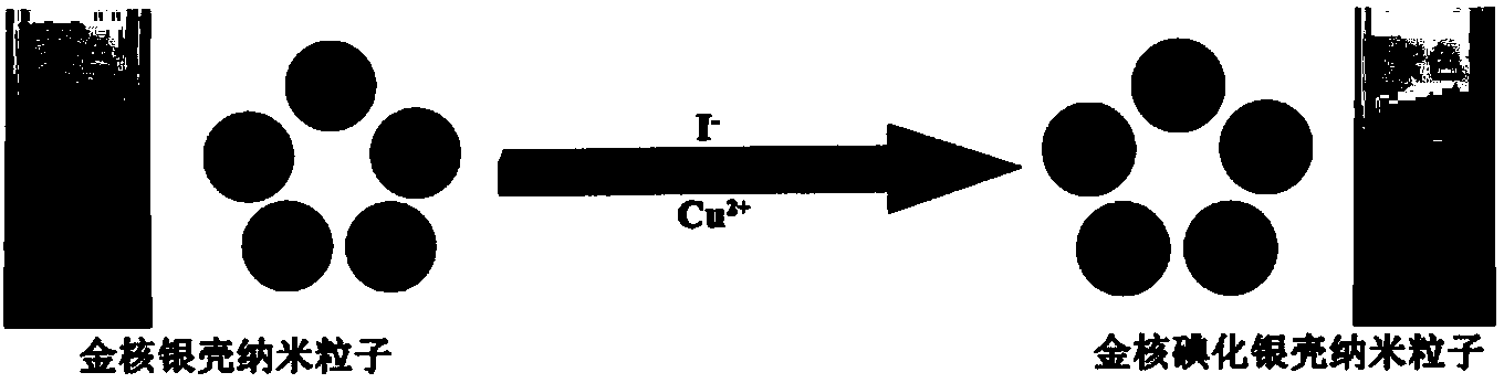 Colorimetric detection method of iodide ions