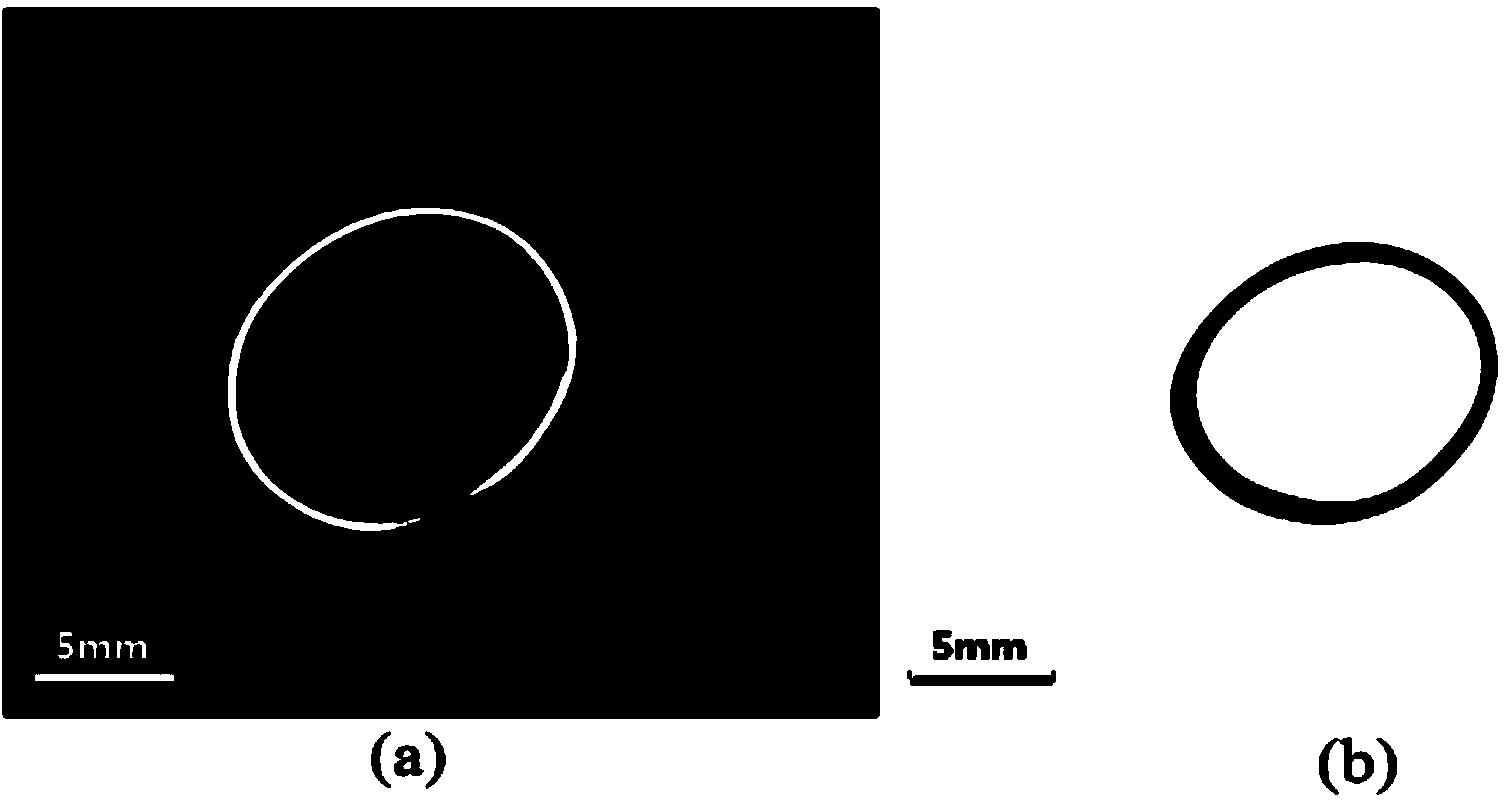 Acousto-optic co-rotatably scanning acousto-optic endoscope device for rectum and imaging method using device