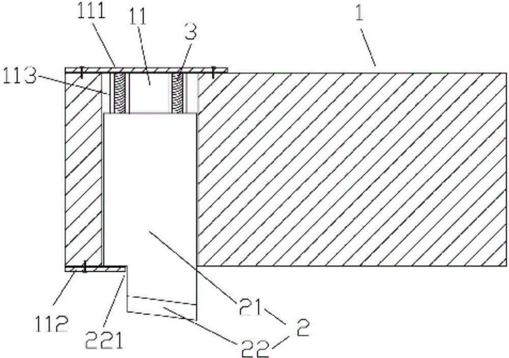 Light guide plate scribing machine and cutting die device thereof