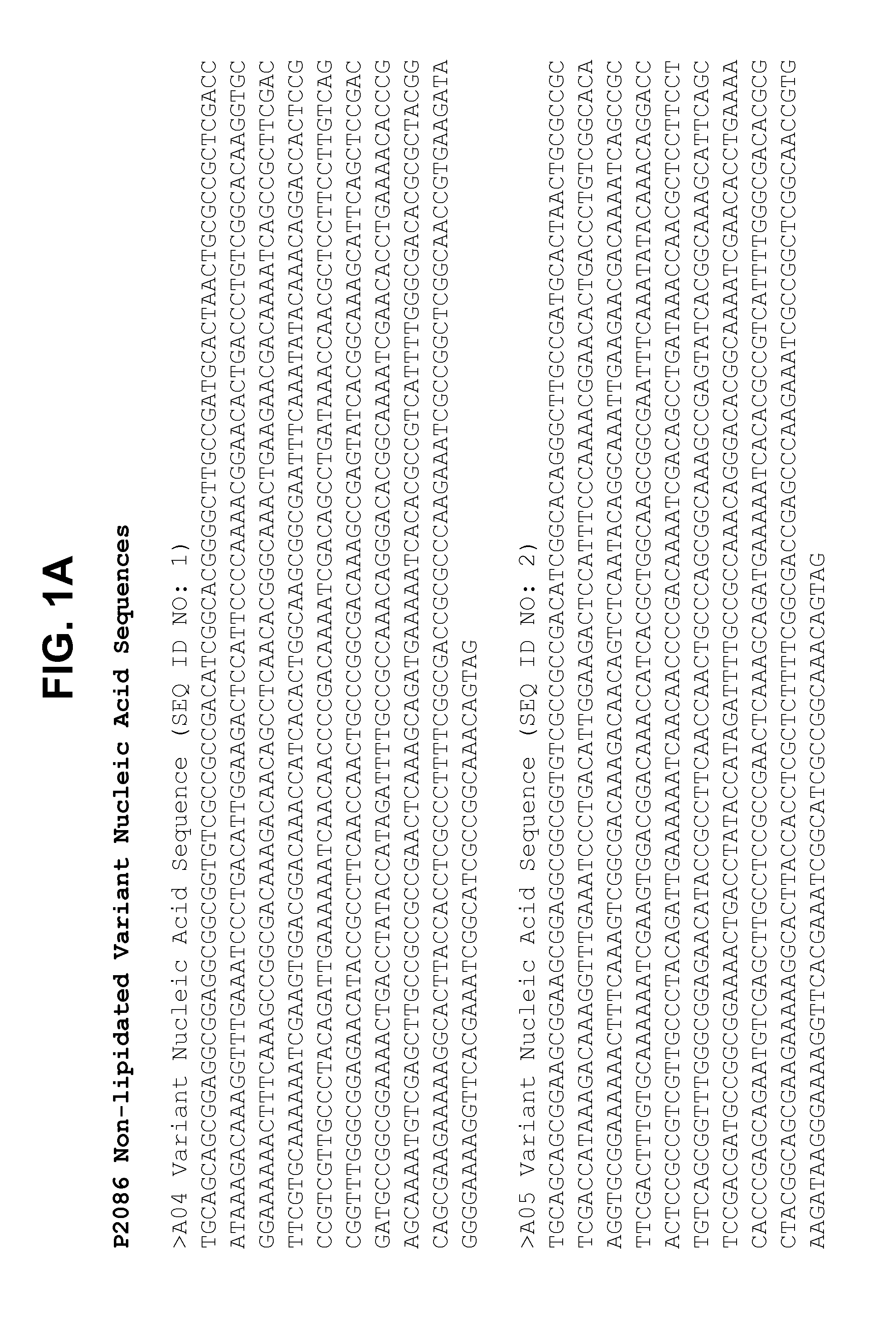 Non-lipidated variants of neisseria meningitidis orf2086 antigens