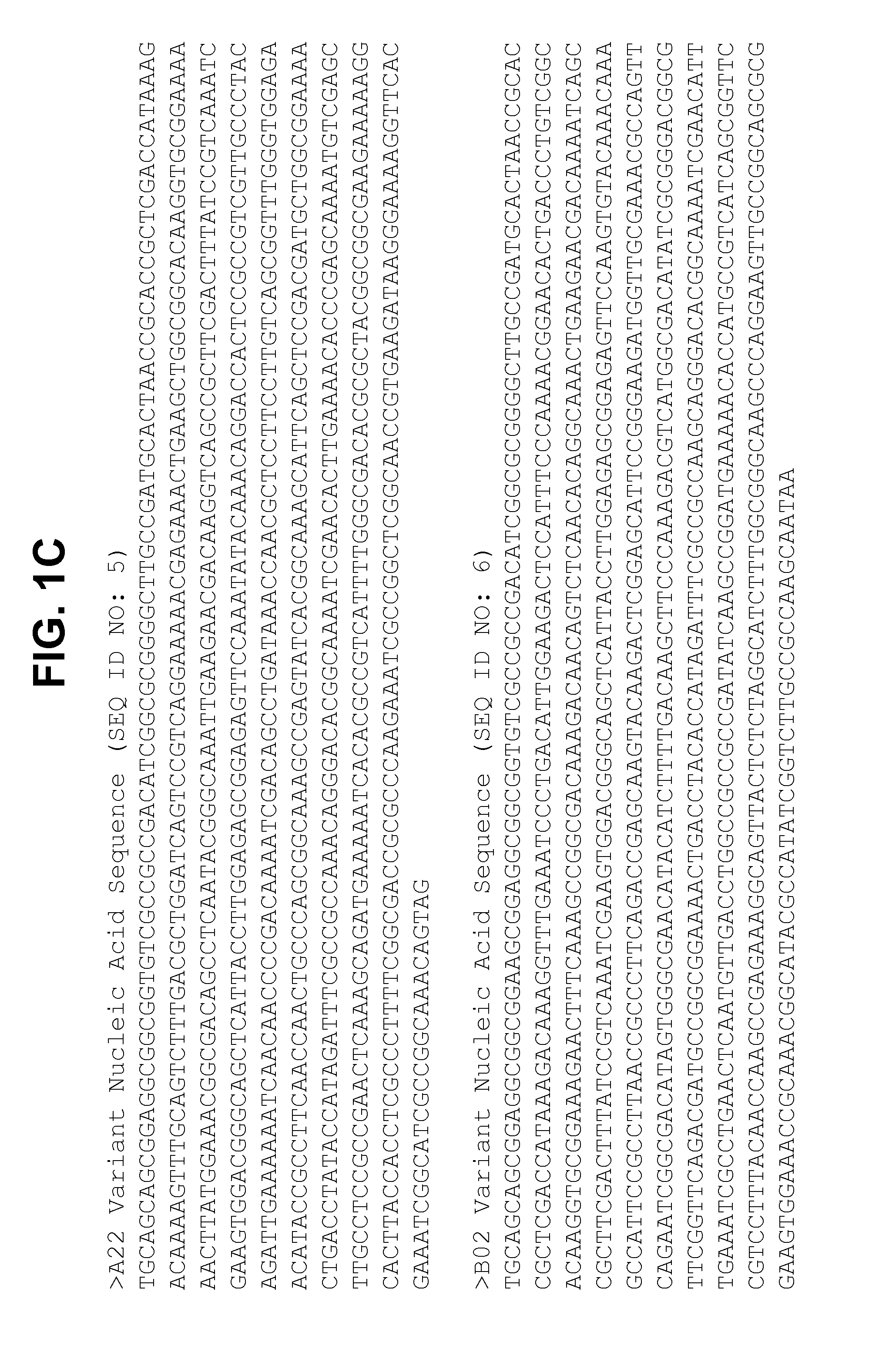 Non-lipidated variants of neisseria meningitidis orf2086 antigens