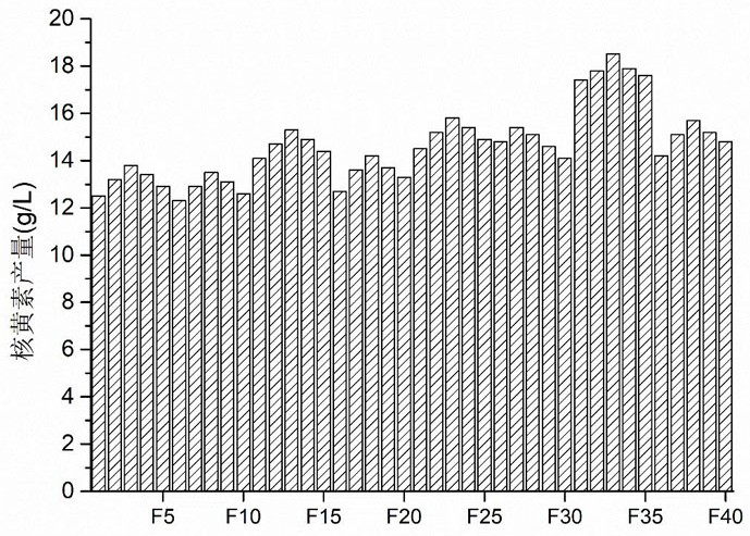 A kind of riboflavin fermentation production method