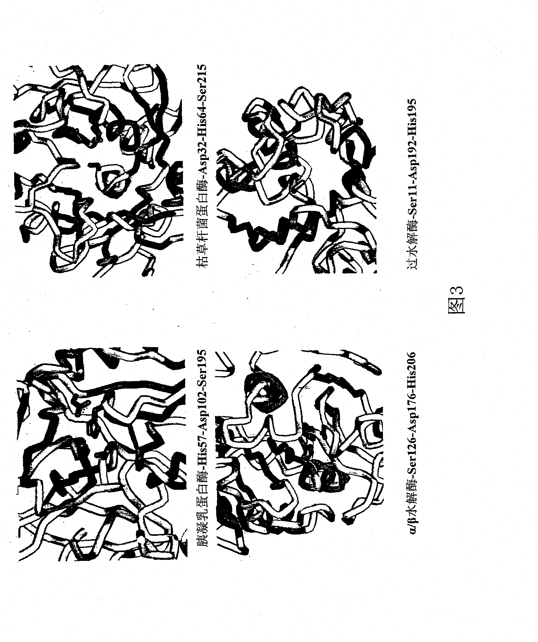 Perhydrolase