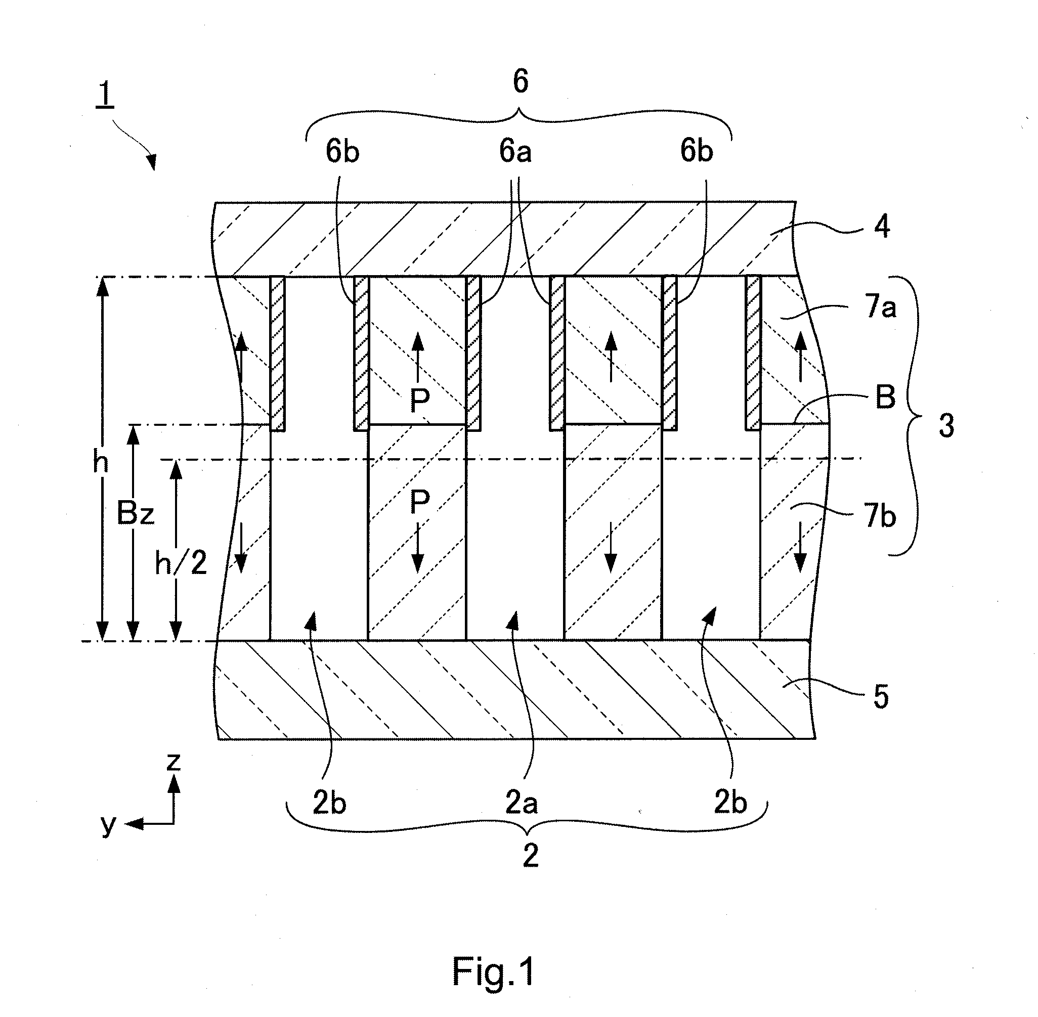 Liquid jet head and liquid jet apparatus