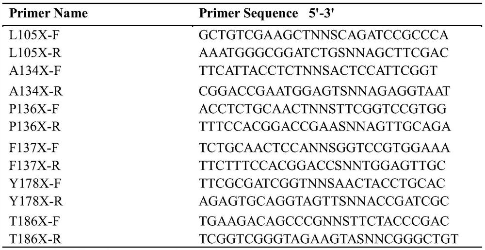 Halohydrin dehalogenase mutant and application thereof in synthesis of chiral epichlorohydrin