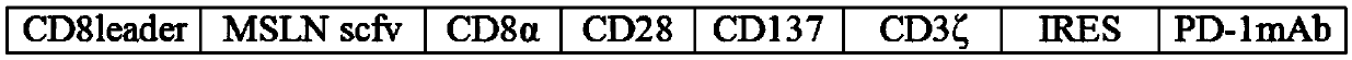 CAR carrier for killing gastric cancer cells by combining MSLN single chain antibody and PD-1mAb, construction method and application thereof