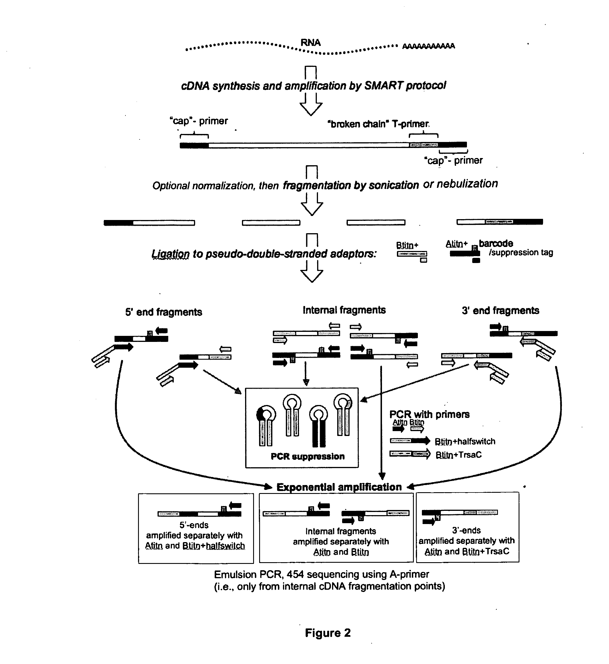 Methods and compositions for nucleic acid sequencing