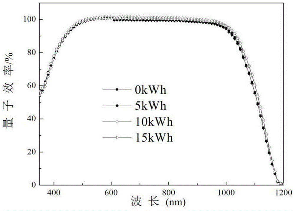 Solar cell panel, method for producing same, and solar cell comprising same