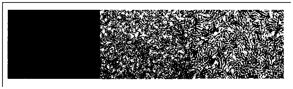 Mesenchymal stem cell preservation solution, preservation method and application thereof