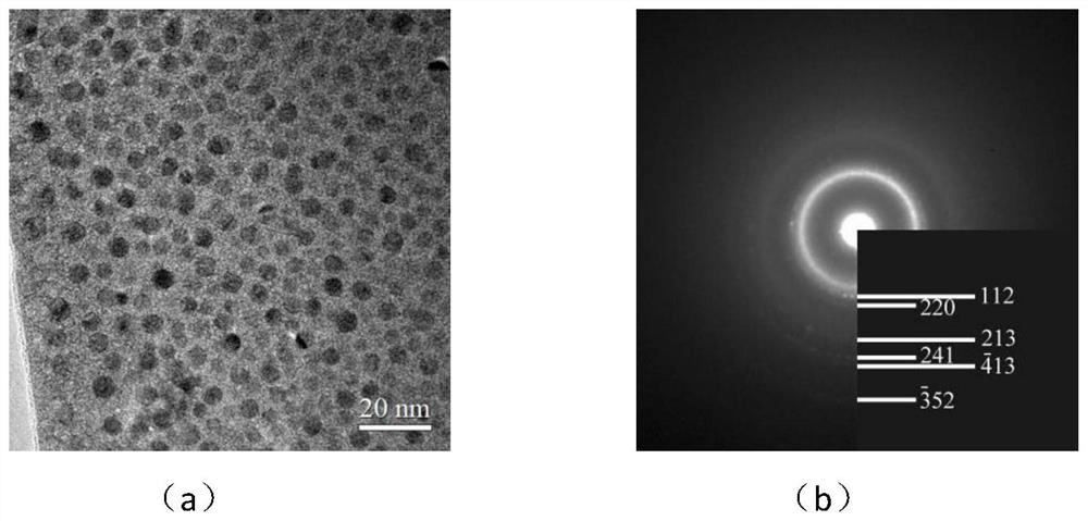 Amorphous matrix composite material and preparation method thereof