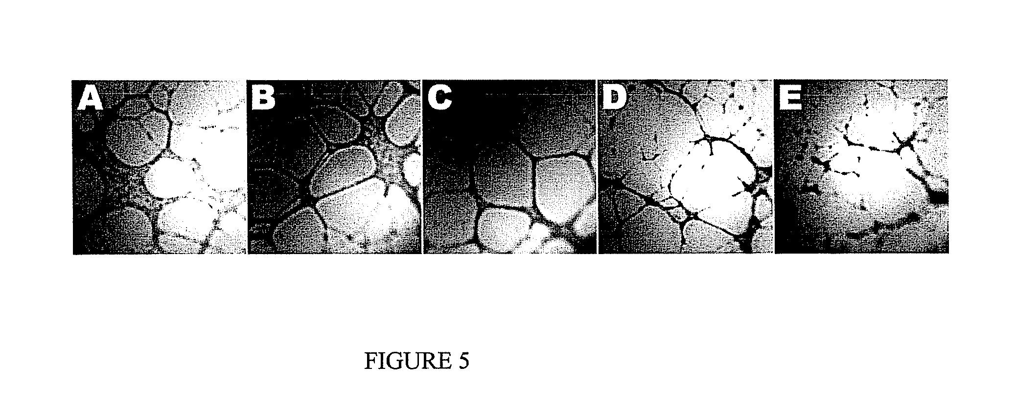 Methods and products for treatment of diseases