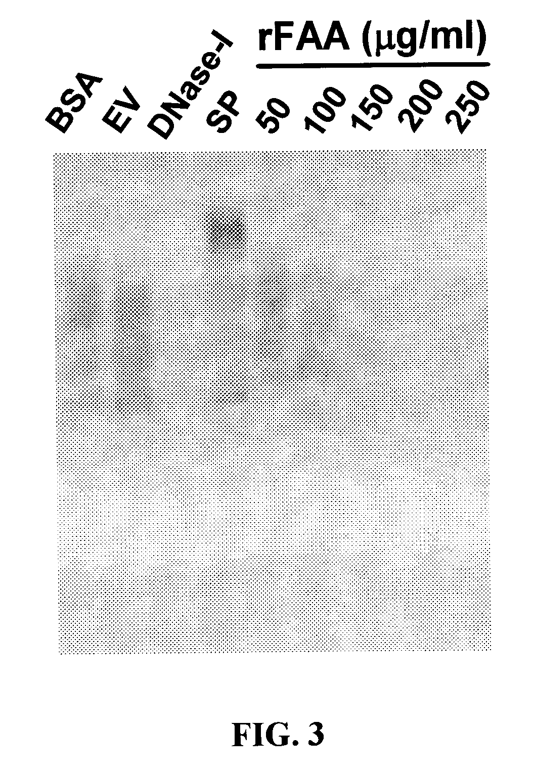 Method to diagnose and increase fertility of mammalian semen using dnase as a diagnostic marker and therapeutic agent