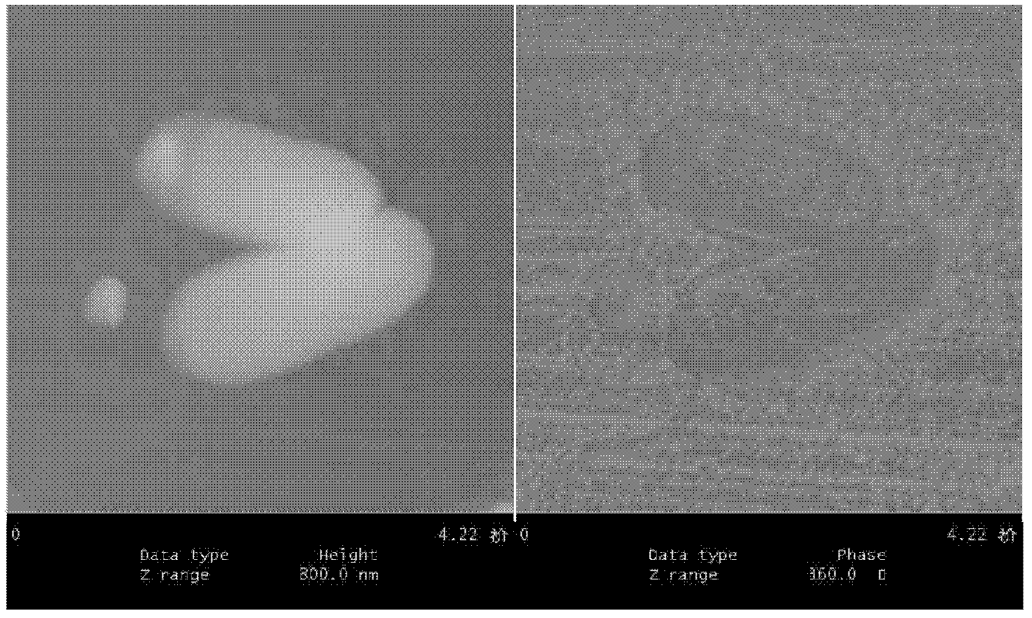 DDT (dichlorodiphenyltrichloroethane)-degrading pseudomonad strain