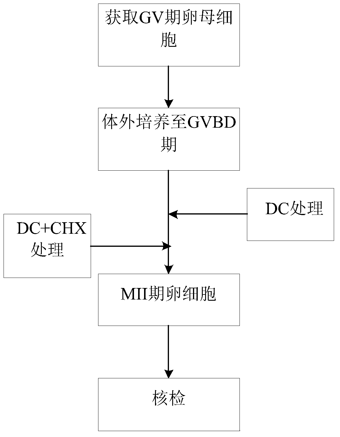 Method for removing nucleus of oocyte through chemical induction