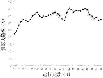 Aquatic compound microecologics and preparation method thereof