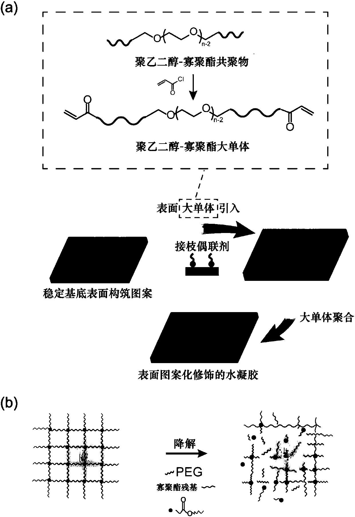 Degradable high polymer material with patterned surface as well as preparation method and application thereof