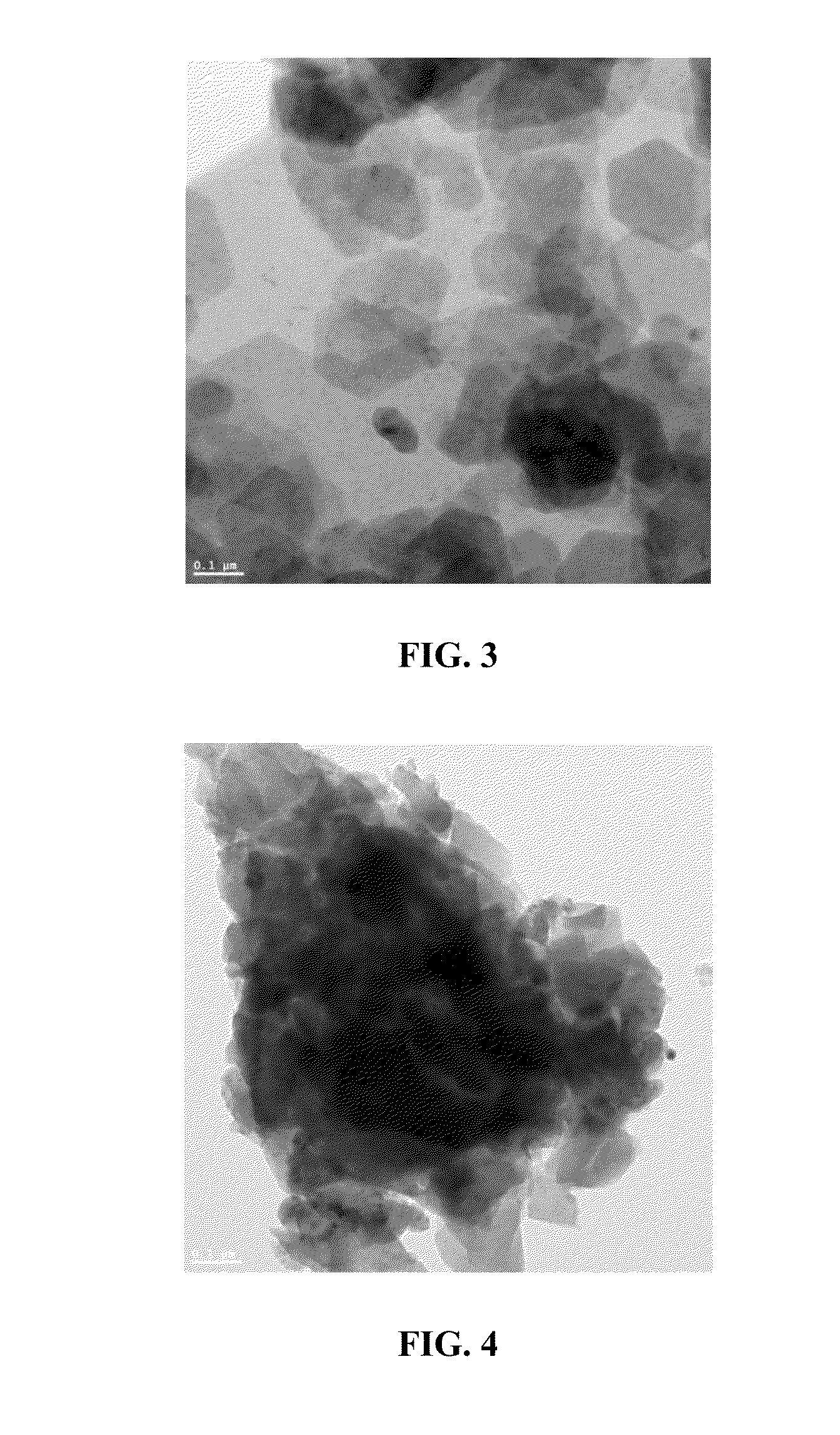 Clay mineral supported catalysts