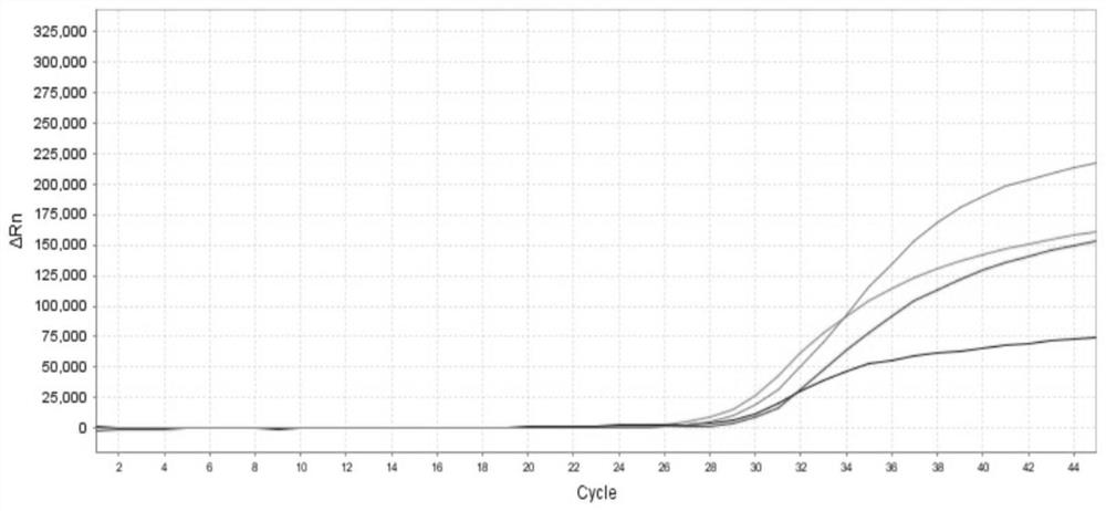 Multiplex fluorescence PCR kit, method and application for detecting respiratory tract pathogens