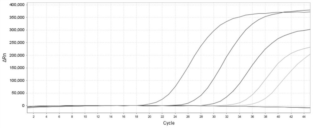 Multiplex fluorescence PCR kit, method and application for detecting respiratory tract pathogens