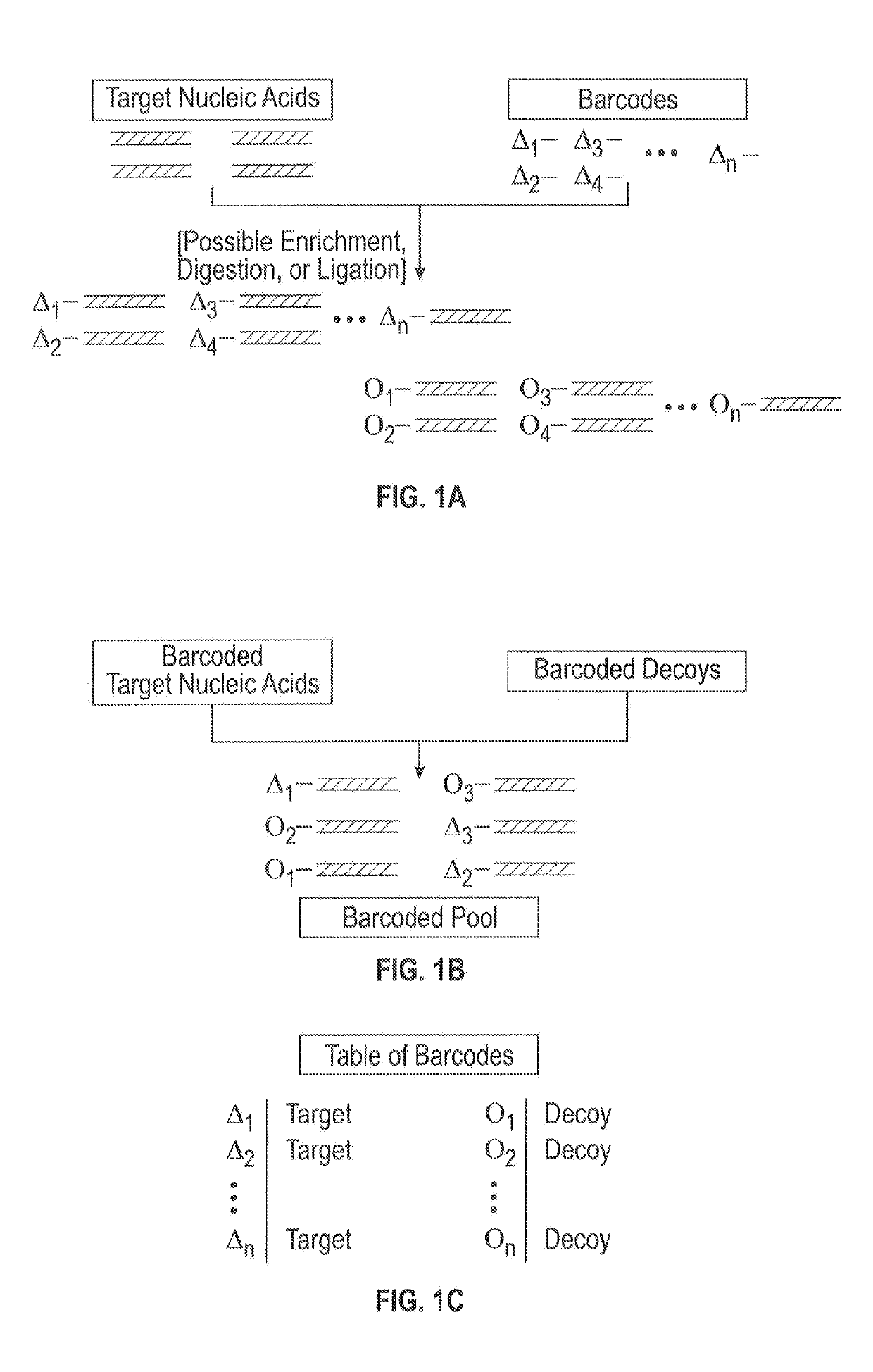 Concealing information present within nucleic acids