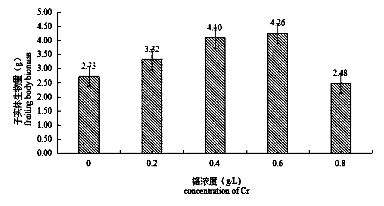 Cordyceps militaris culture method