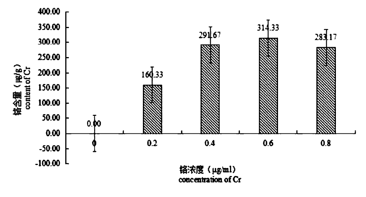 Cordyceps militaris culture method