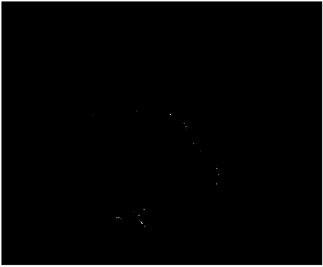 Silicon dioxide modified carbon dot fluorescent powder and fluorescent silicone rubber