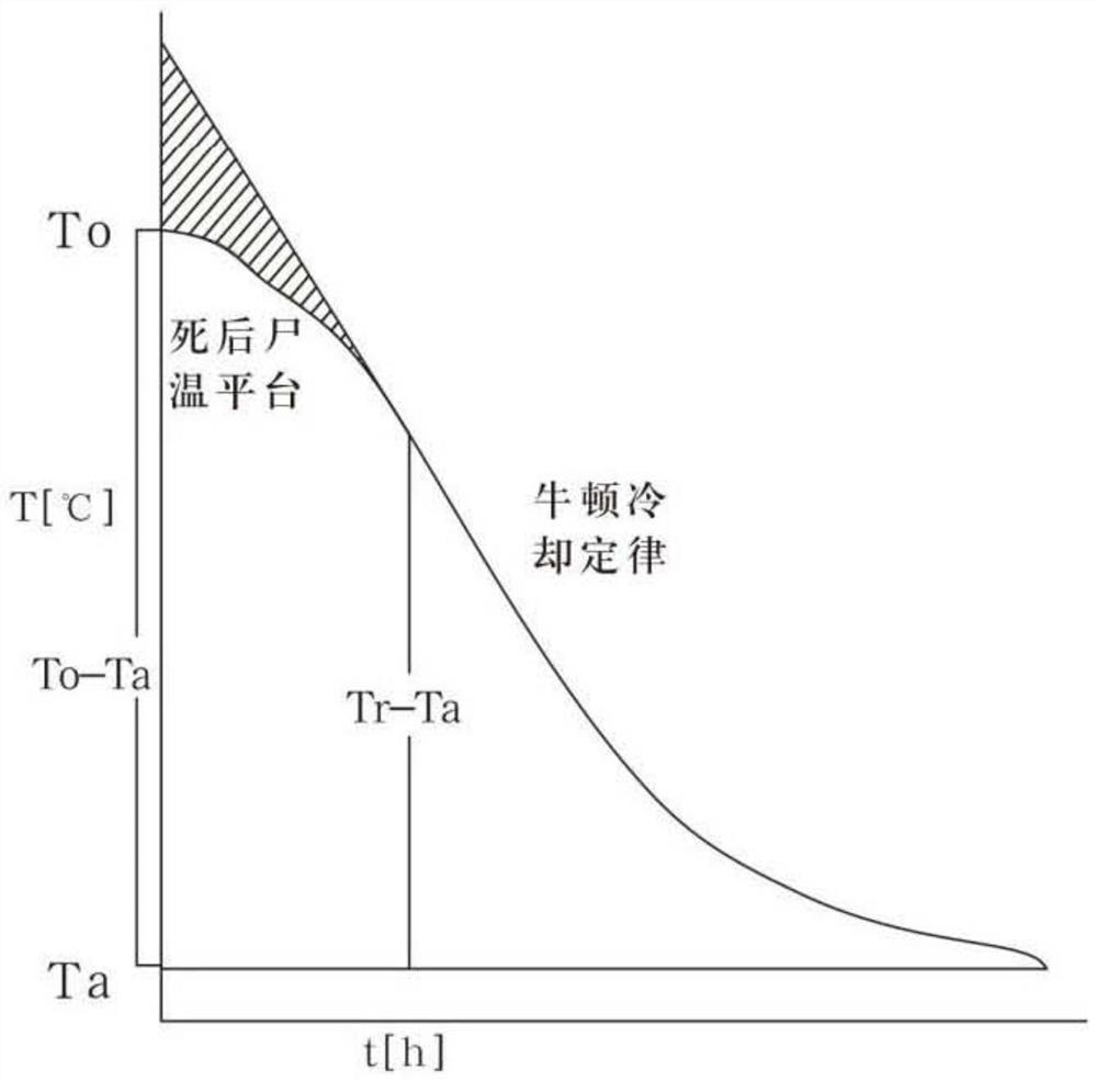 Corpse temperature real-time measurement recording analyzer and death time analysis method