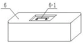 Portable specimen transport case