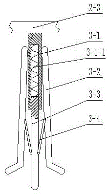 Portable specimen transport case