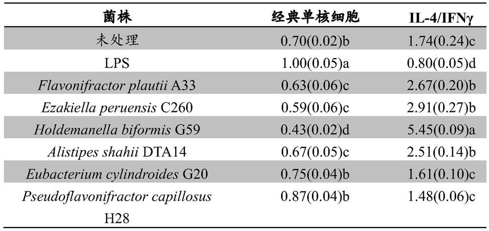 Holdemanella sp. bacterium and use thereof