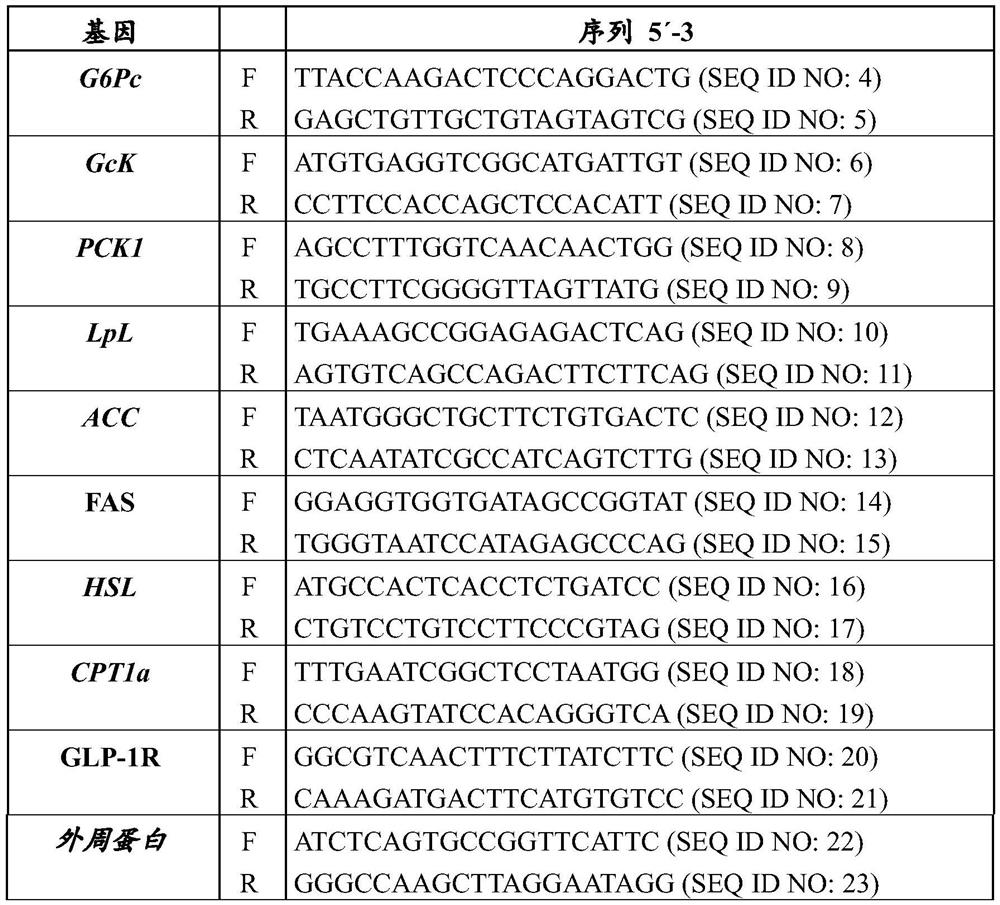 Holdemanella sp. bacterium and use thereof