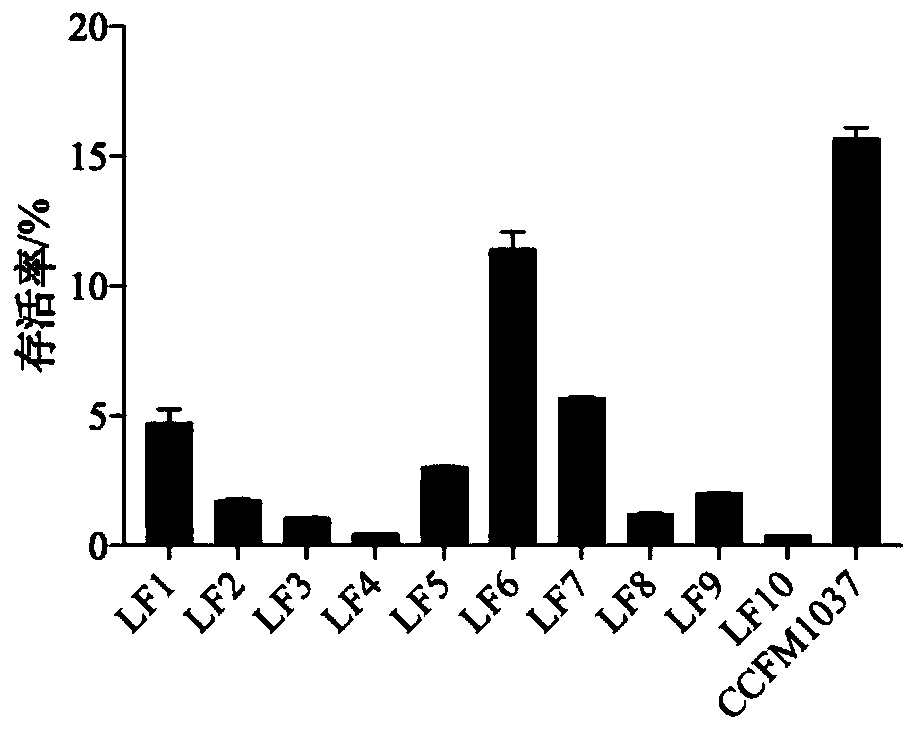 Lactobacillus fermentum and application thereof in improving intestinal health