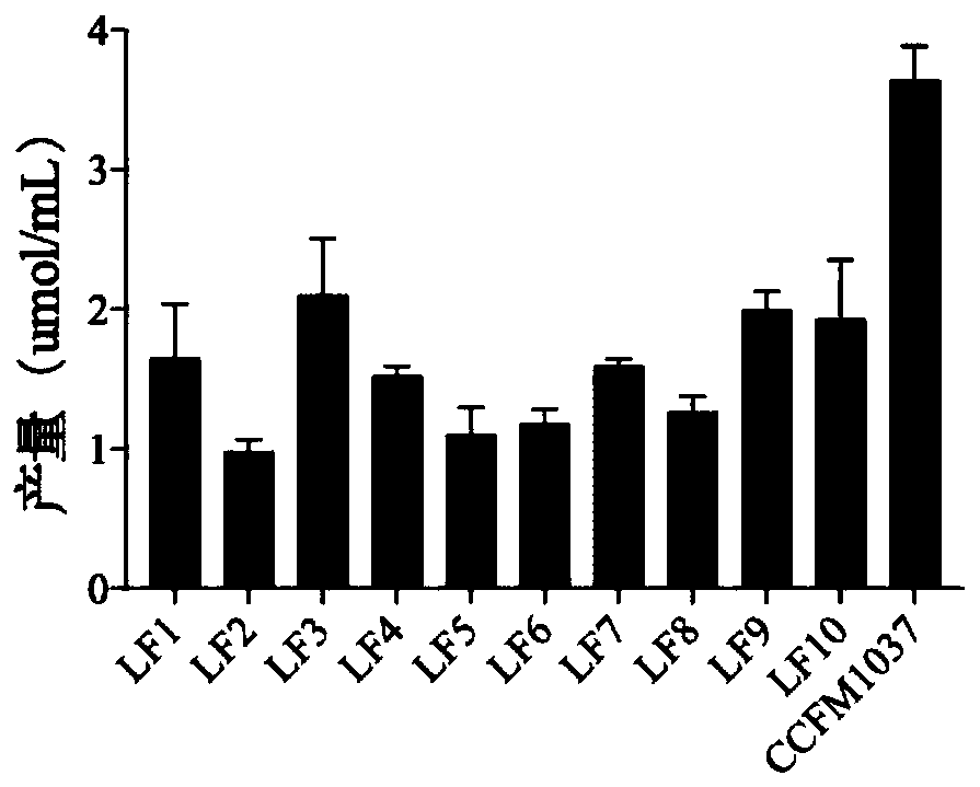 Lactobacillus fermentum and application thereof in improving intestinal health