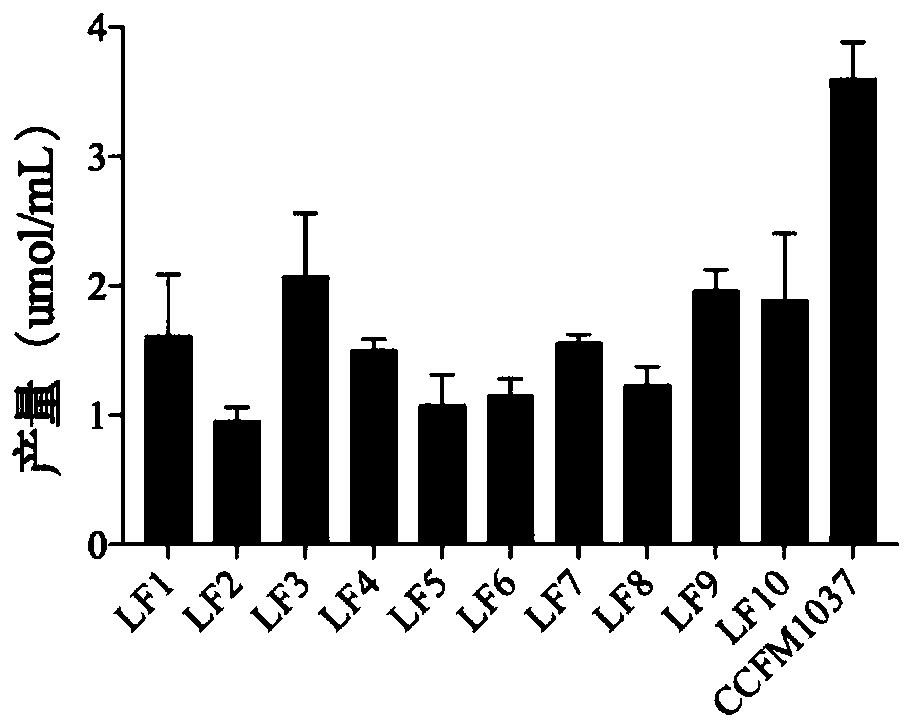 Lactobacillus fermentum and application thereof in improving intestinal health