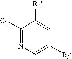 Polymer-modified synthetic proteins