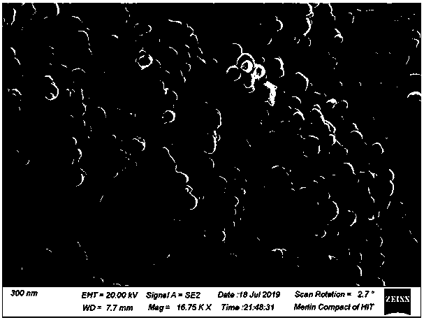 Preparation method of novel amphiphilic polymer of deoxycholate-modified chitosan oligosaccharide