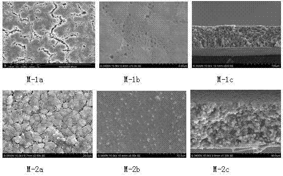 TiO2/C hybrid aerogel modified polyvinylidene fluoride membrane and preparation method thereof