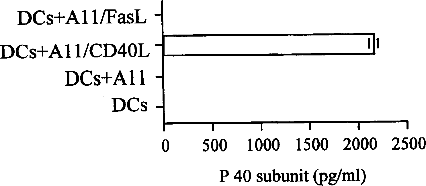 Anti-tumor agent using interleukin-23 gene