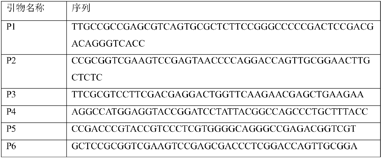 Glutamine transaminase mutant with improved enzymatic activity