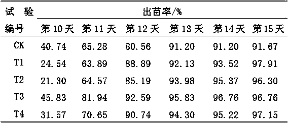 Preparing method of superior tomato seedling growing medium