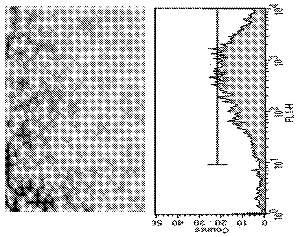 Methods and Compositions for Generating Stable Transfected Cells