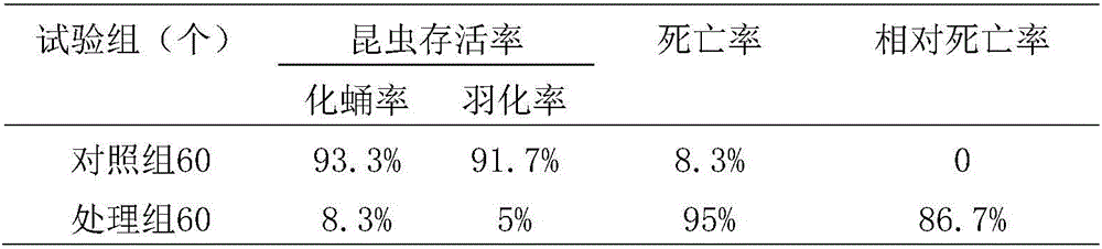 Entomopathogenic nematode symbiotic bacteria strain and application thereof