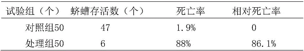 Entomopathogenic nematode symbiotic bacteria strain and application thereof