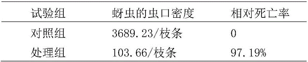 Entomopathogenic nematode symbiotic bacteria strain and application thereof