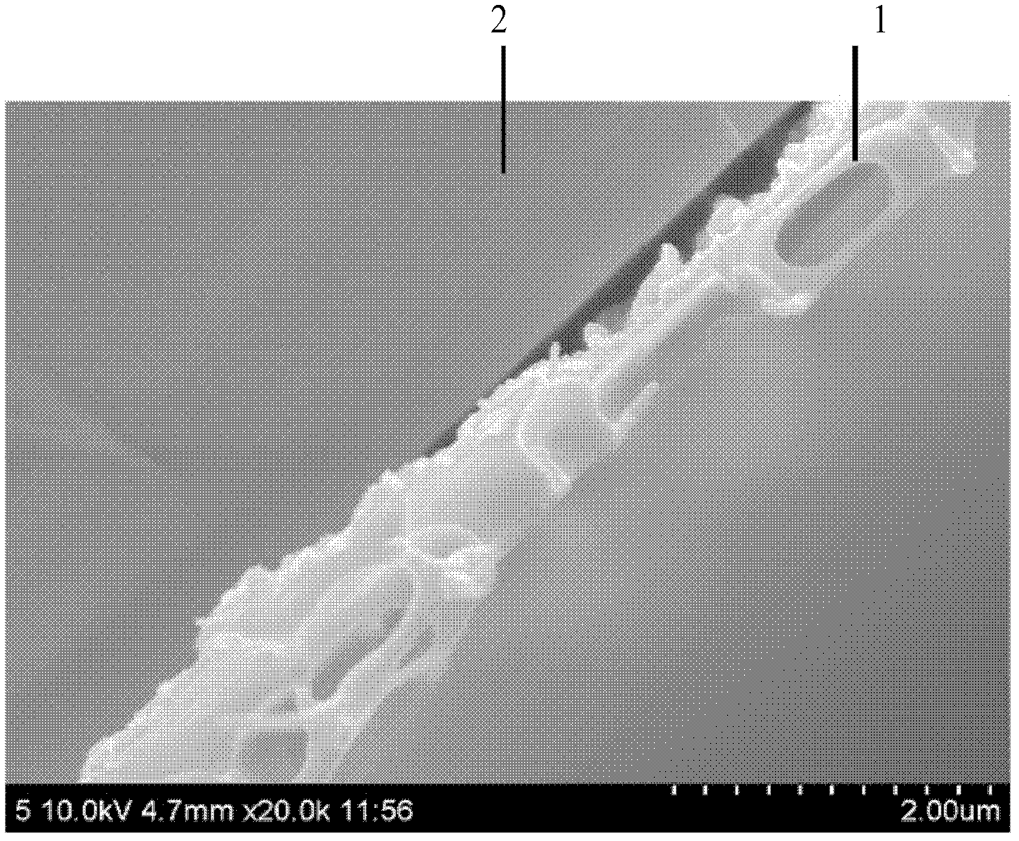 Method for detecting microstructure of reverse osmosis membrane separating layer