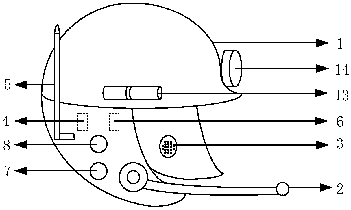 Helmet